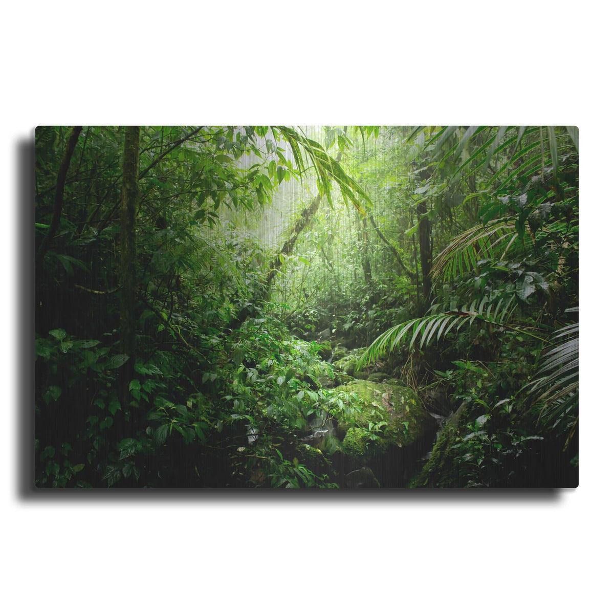 'Warm Glow Rainforest Creek' by Nicklas Gustafsson – Metal Wall Art