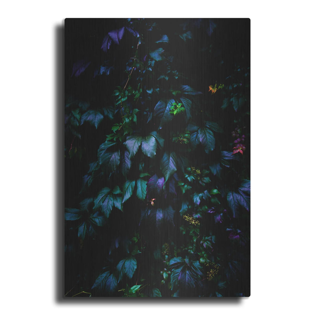 'Jungle' by Nicklas Gustafsson – Metal Wall Art