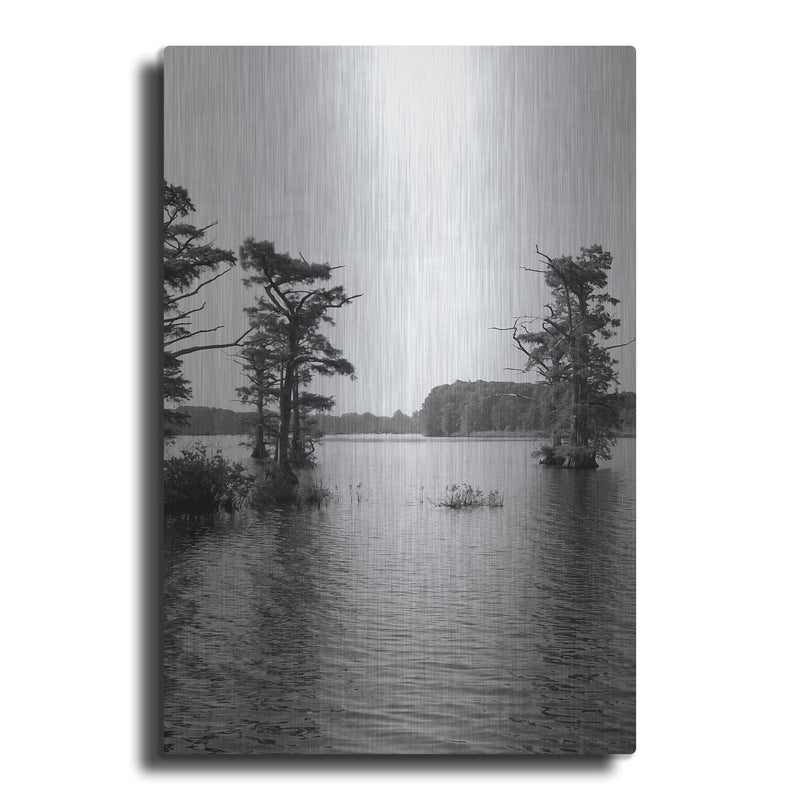 'Riverscape 2' by Alicia Ludwig – Metal Wall Art