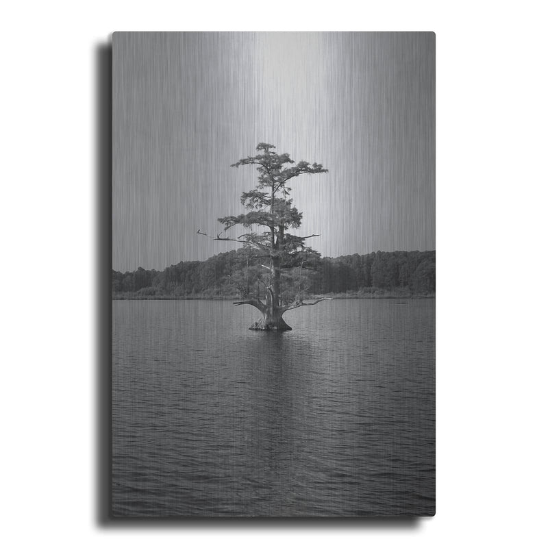 'Riverscape 1' by Alicia Ludwig – Metal Wall Art