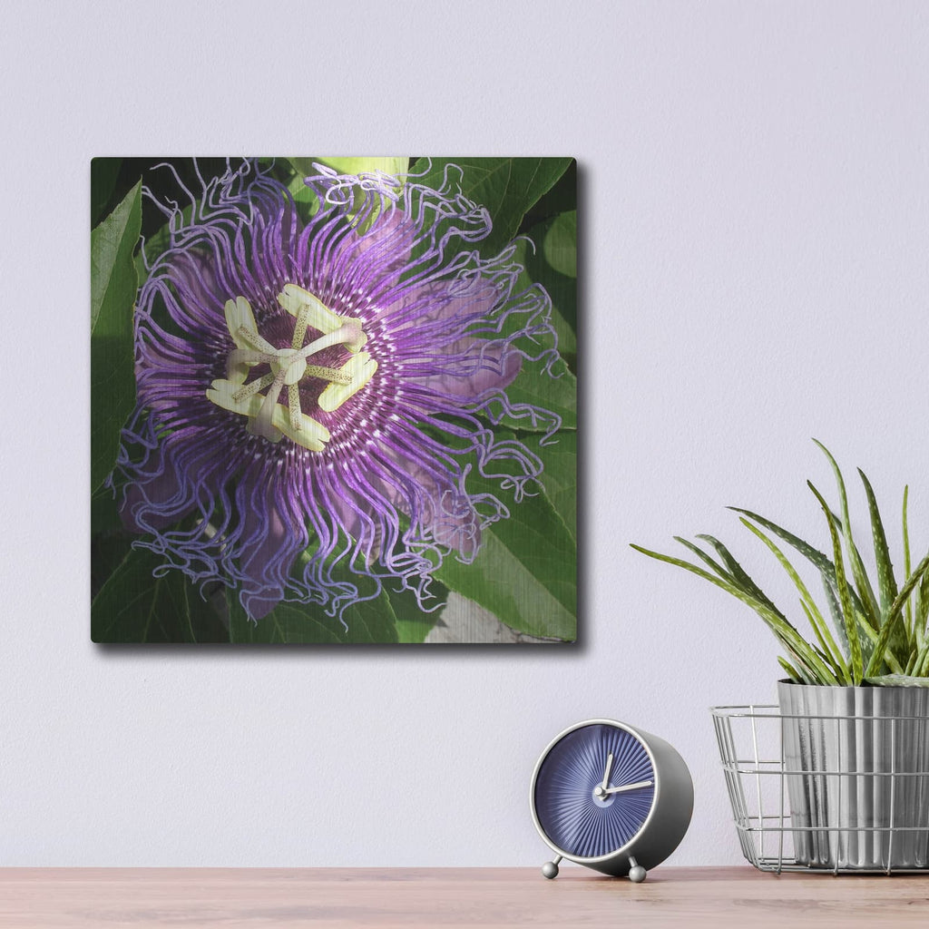 'Junes Treasure 1' by Alicia Ludwig – Metal Wall Art, 12x12 room view