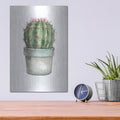 'Mixed Greens Succulent II' by Lisa Audit – Metal Wall Art, 12x16 room view