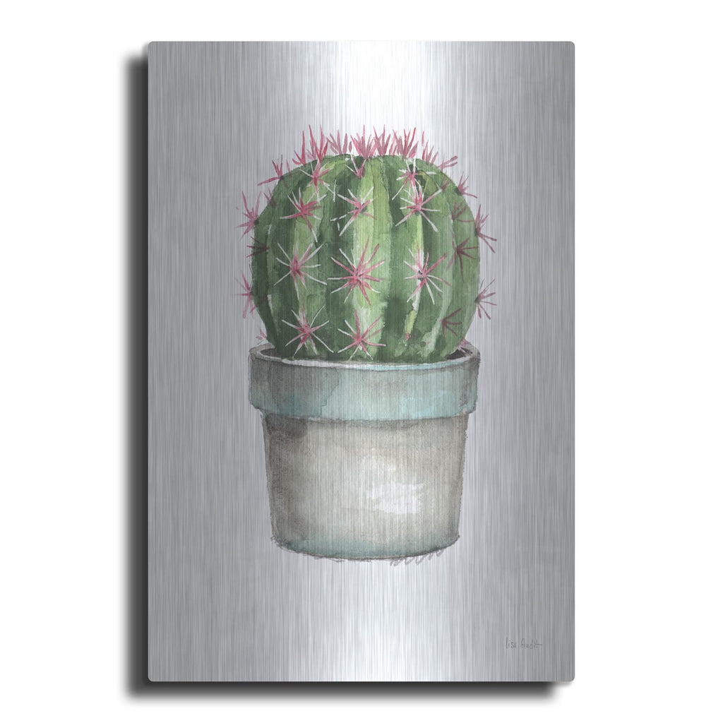 'Mixed Greens Succulent II' by Lisa Audit – Metal Wall Art