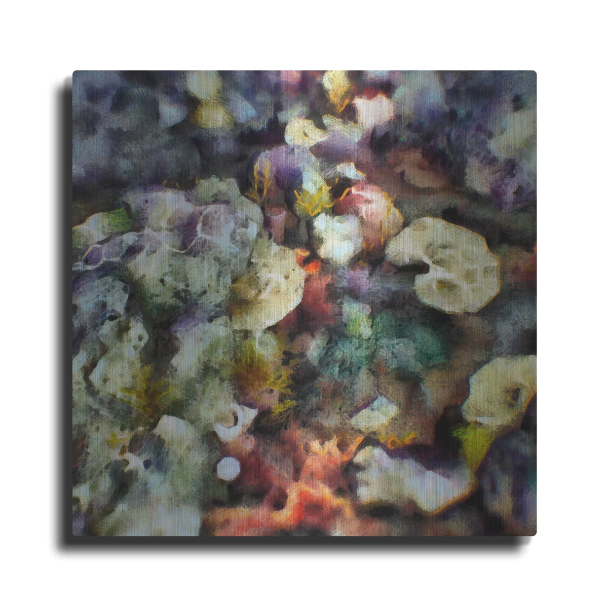 'Sea Life 2' by Alonzo Saunders – Metal Wall Art