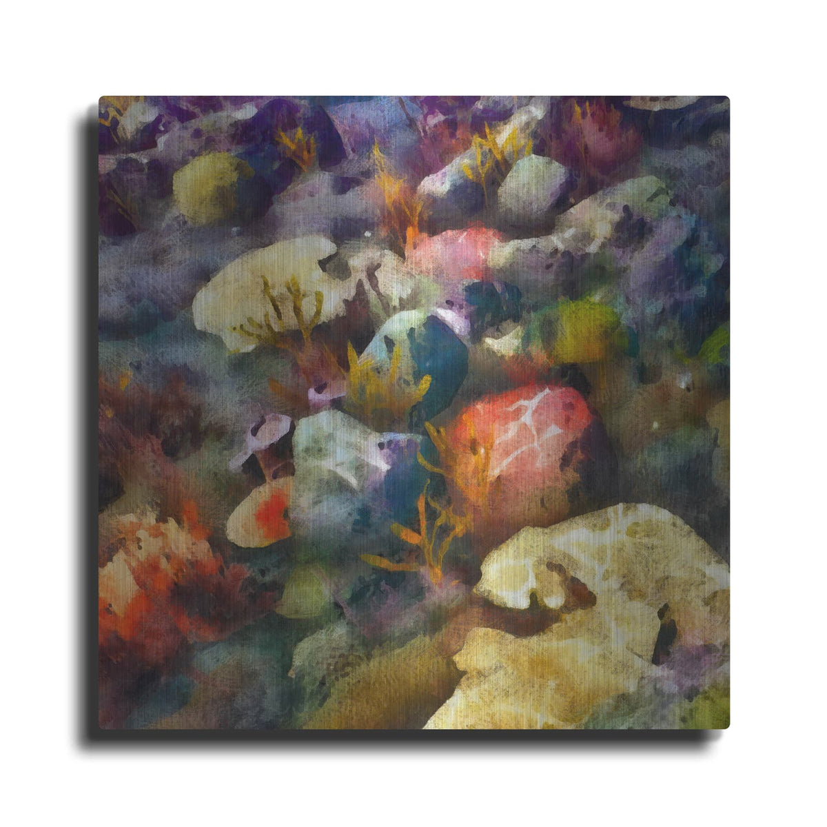 'Sea Life 3' by Alonzo Saunders – Metal Wall Art