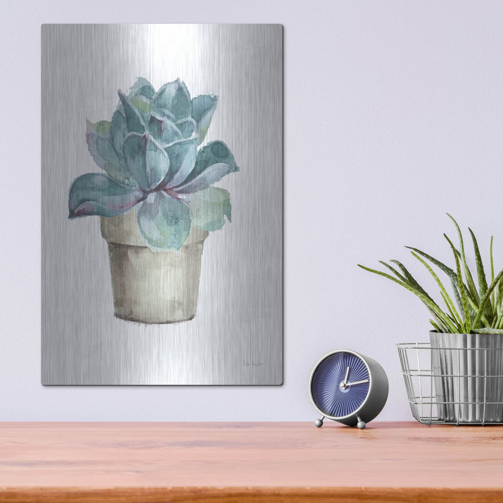 'Mixed Greens Succulent IV' by Lisa Audit – Metal Wall Art, 12x16 room view