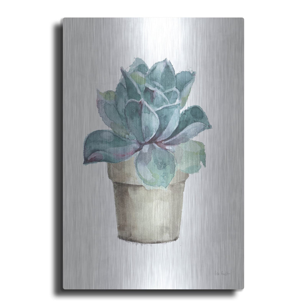'Mixed Greens Succulent IV' by Lisa Audit – Metal Wall Art