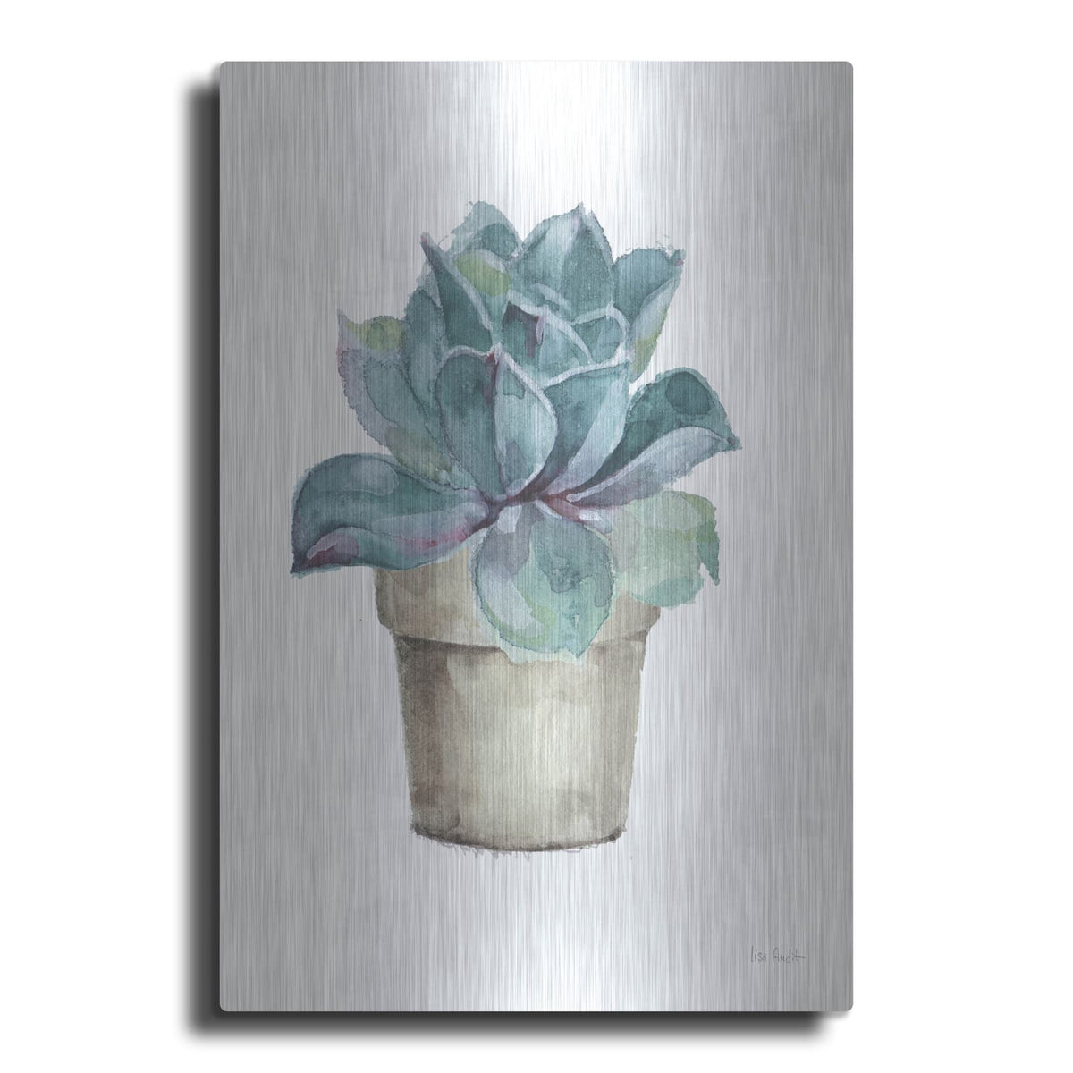 'Mixed Greens Succulent IV' by Lisa Audit – Metal Wall Art