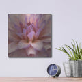 'Soft Wall Flower 2' by Alonzo Saunders – Metal Wall Art, 12x12 room view