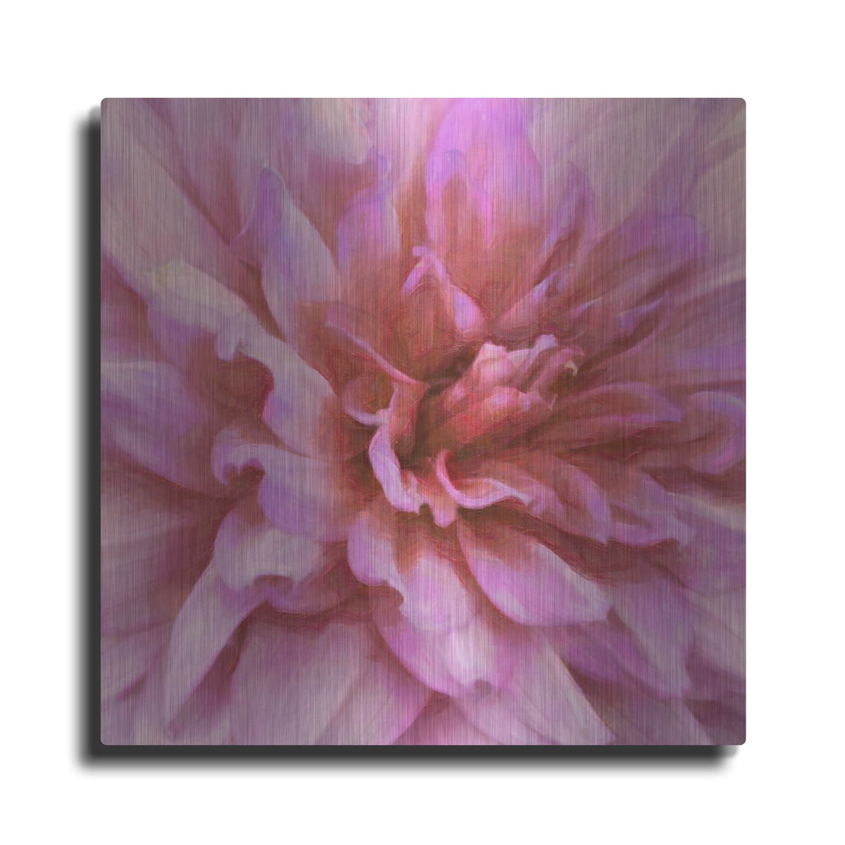 'Soft Wall Flower X' by Alonzo Saunders – Metal Wall Art