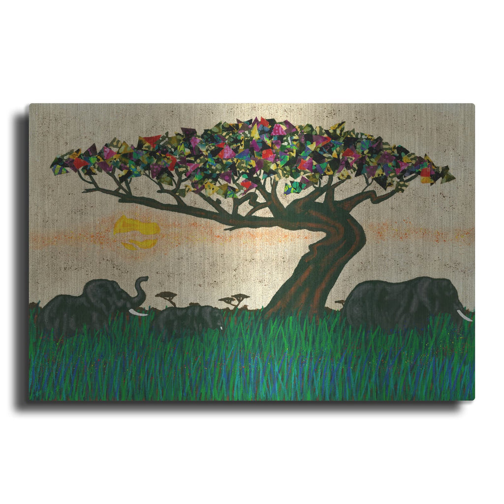 'Planes Of Africa 1' by Alonzo Saunders – Metal Wall Art