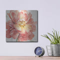 'Spring Meadow V' by Lisa Audit – Metal Wall Art, 12x12 room view