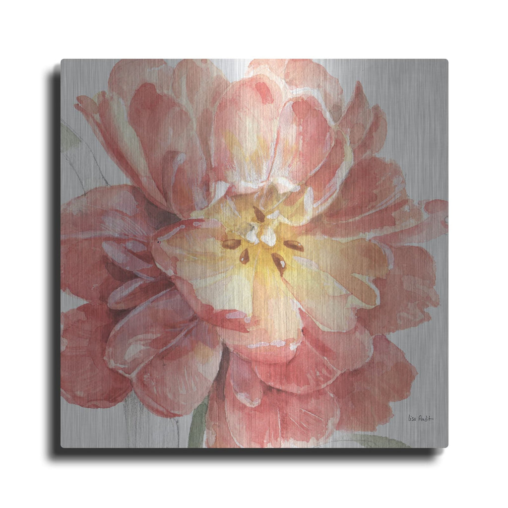'Spring Meadow V' by Lisa Audit – Metal Wall Art