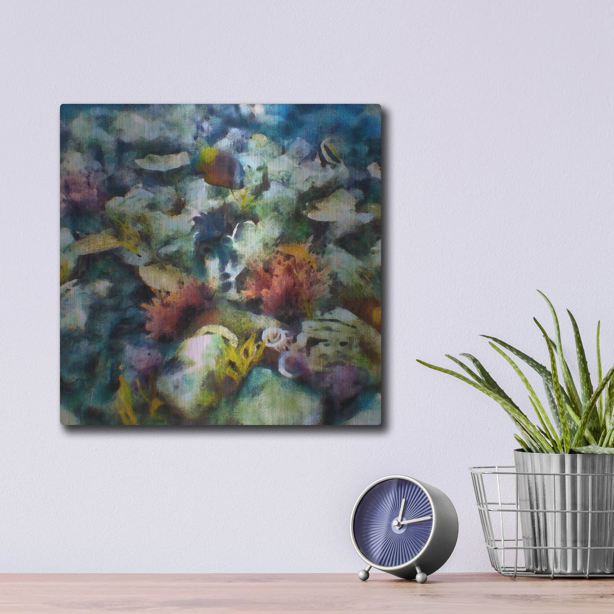 'Sea Life 1' by Alonzo Saunders – Metal Wall Art, 12x12 room view