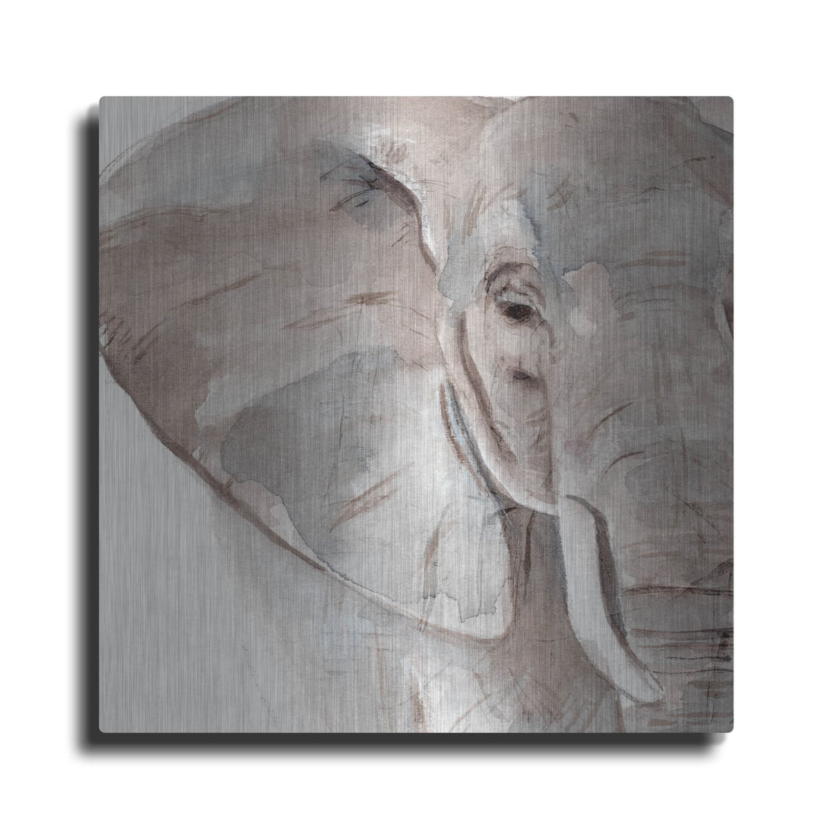'Elephant Grooves 2' by Annie Warren – Metal Wall Art