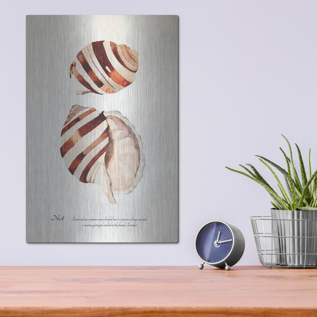 'Sienna Shell Collector 4' by Annie Warren – Metal Wall Art, 12x16 room view