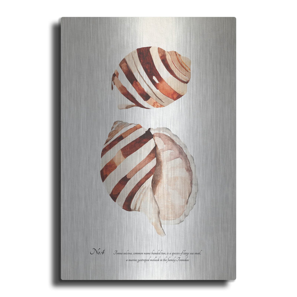 'Sienna Shell Collector 4' by Annie Warren – Metal Wall Art