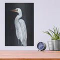 'Calm Great Egret 1' by Annie Warren – Metal Wall Art, 12x16 room view