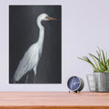 'Calm Great Egret 2' by Annie Warren – Metal Wall Art, 12x16 room view
