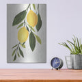 'Lemon Branch 1' by Annie Warren – Metal Wall Art, 12x16 room view