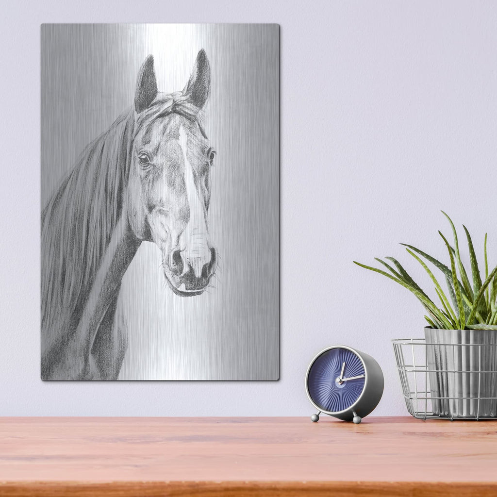'Equine Portrait Sketch 1' by Annie Warren – Metal Wall Art, 12x16 room view