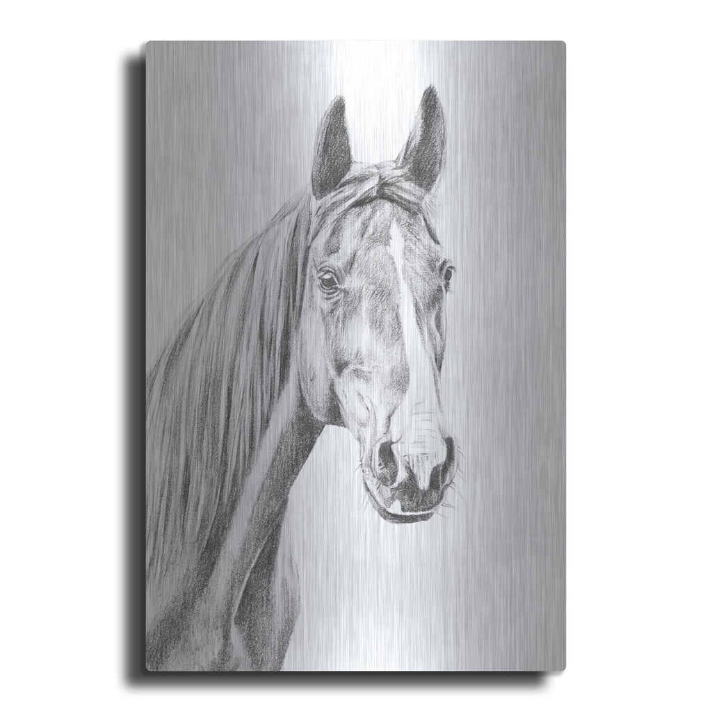 'Equine Portrait Sketch 1' by Annie Warren – Metal Wall Art