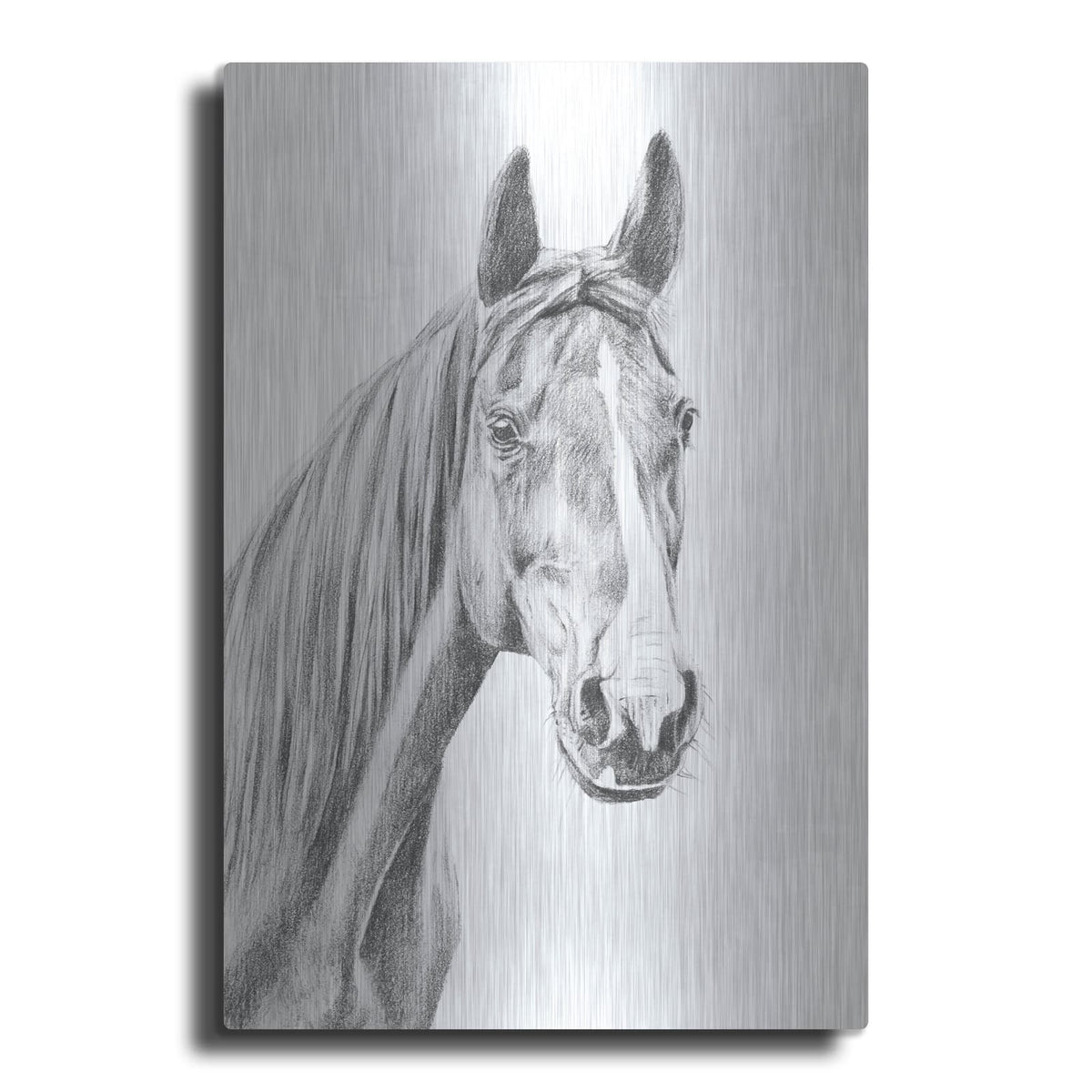 'Equine Portrait Sketch 1' by Annie Warren – Metal Wall Art