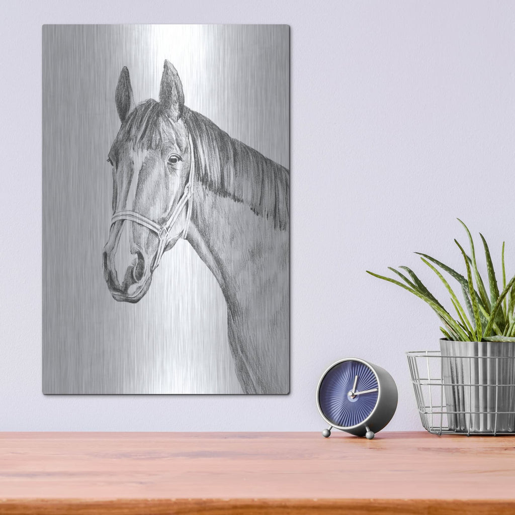 'Equine Portrait Sketch 2' by Annie Warren – Metal Wall Art, 12x16 room view