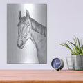 'Equine Portrait Sketch 2' by Annie Warren – Metal Wall Art, 12x16 room view