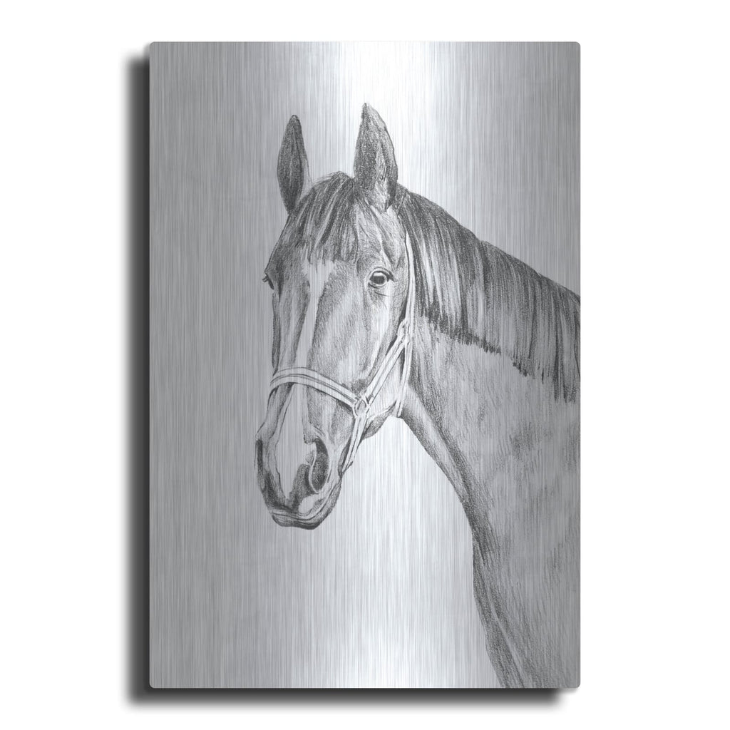 'Equine Portrait Sketch 2' by Annie Warren – Metal Wall Art
