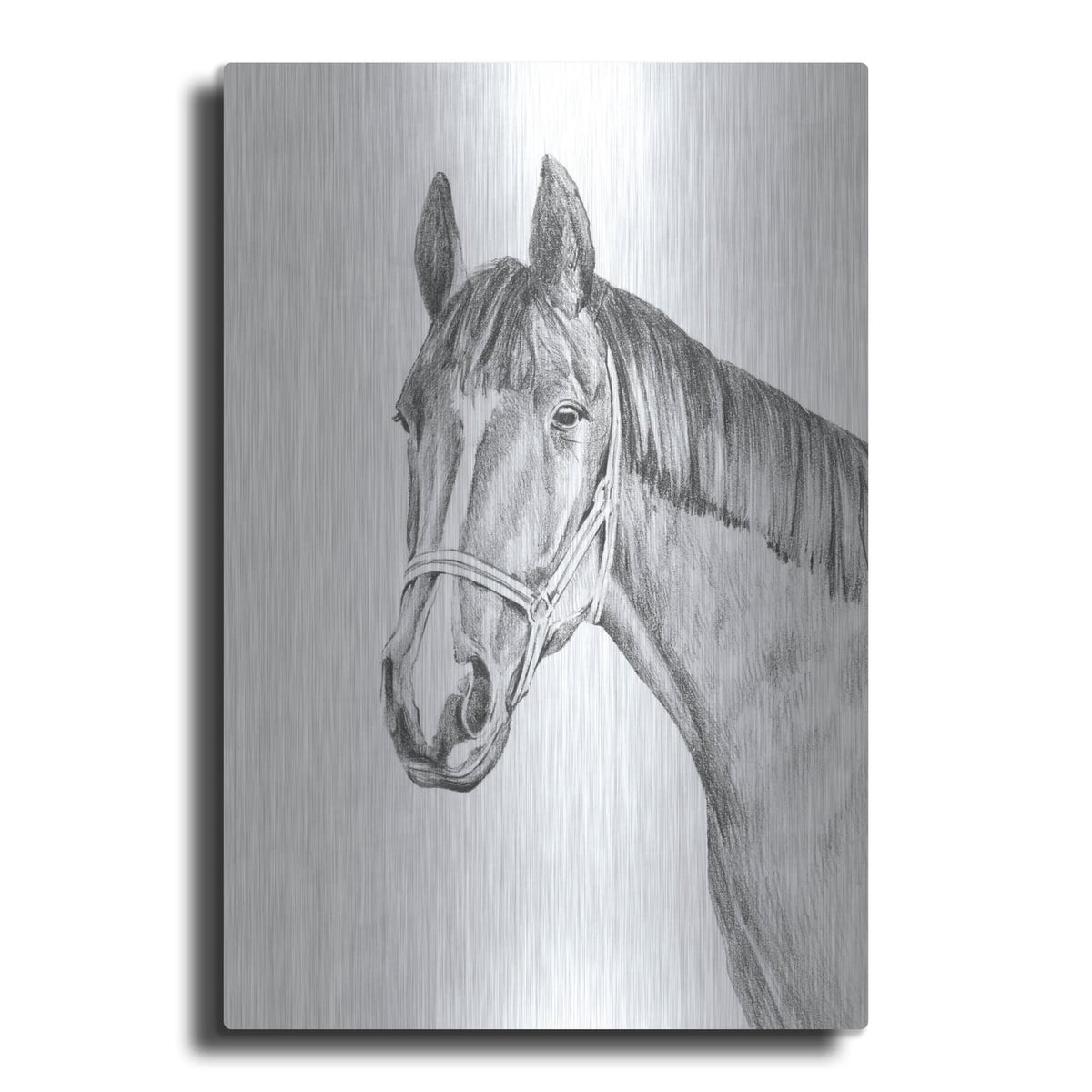 'Equine Portrait Sketch 2' by Annie Warren – Metal Wall Art