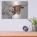 'Spotted Steer 1' by Annie Warren – Metal Wall Art, 16x12 room view
