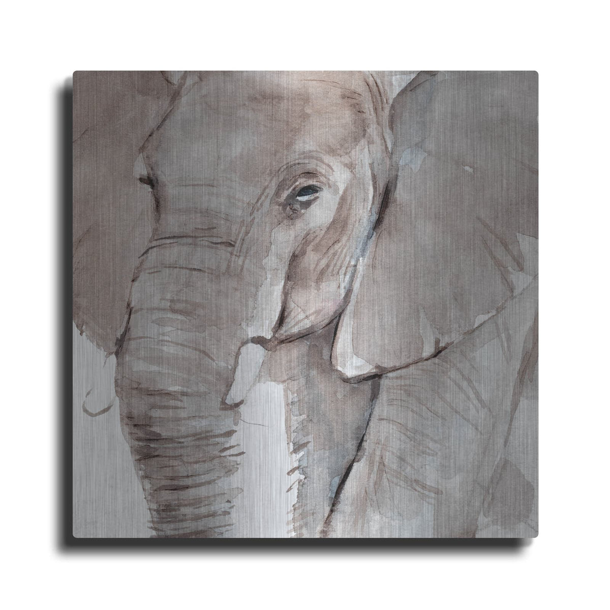 'Elephant Grooves 1' by Annie Warren – Metal Wall Art