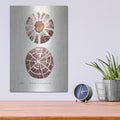 'Sienna Shell Collector 2' by Annie Warren – Metal Wall Art, 12x16 room view