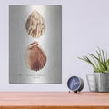 'Sienna Shell Collector 1' by Annie Warren – Metal Wall Art, 12x16 room view