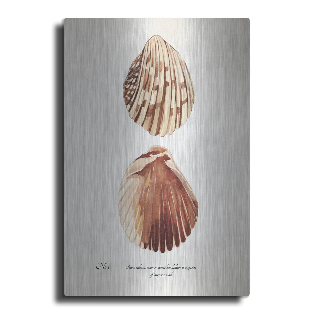 'Sienna Shell Collector 1' by Annie Warren – Metal Wall Art