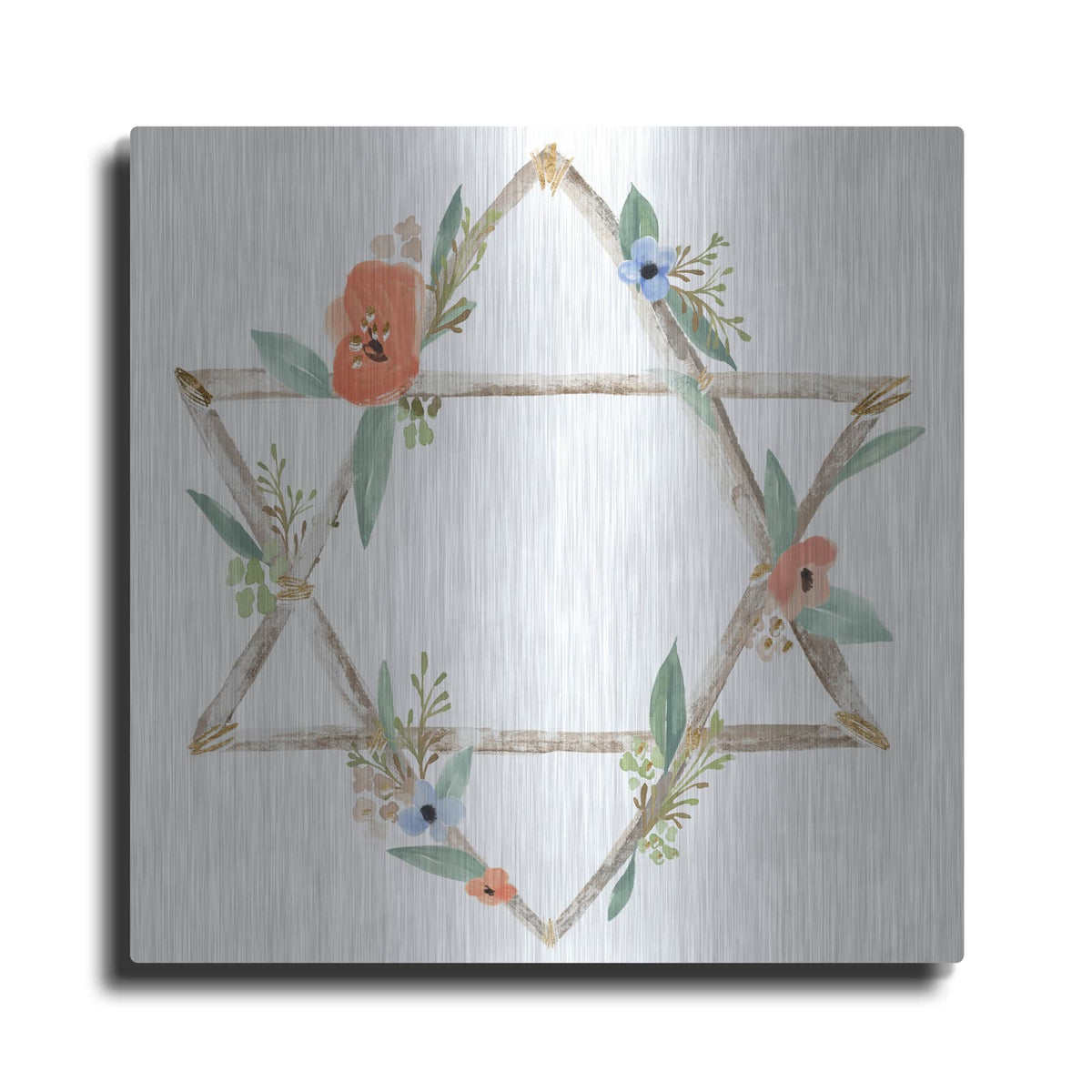 'Laura Gibson _adorned Star 1' by Annie Warren – Metal Wall Art