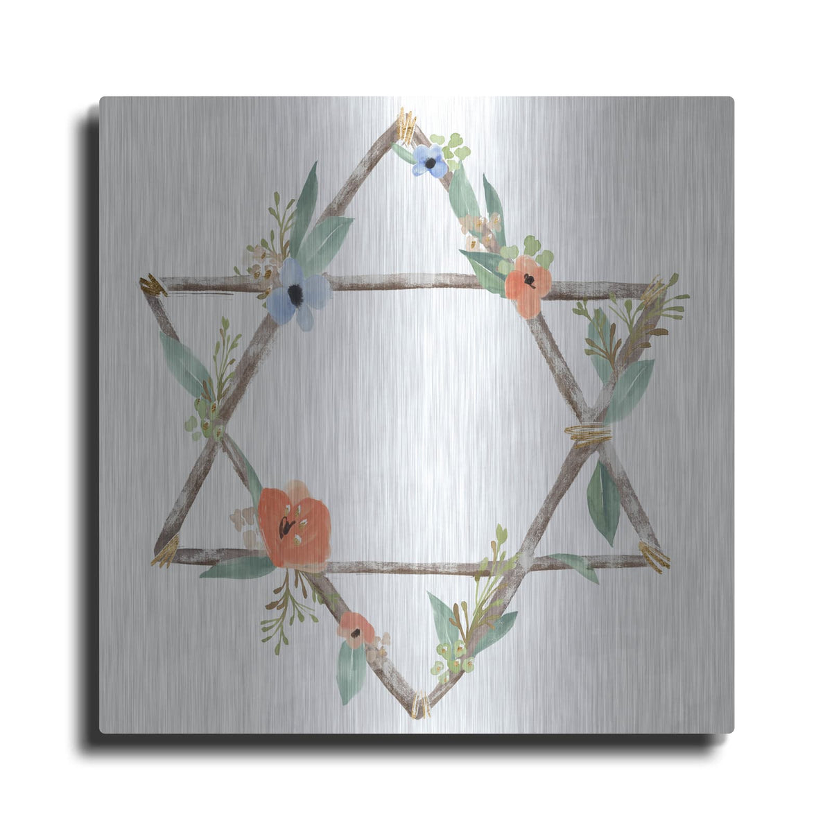 'Laura Gibson _adorned Star 2' by Annie Warren – Metal Wall Art