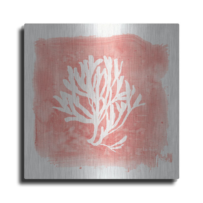 'Water Coral Cove III' by Lisa Audit – Metal Wall Art