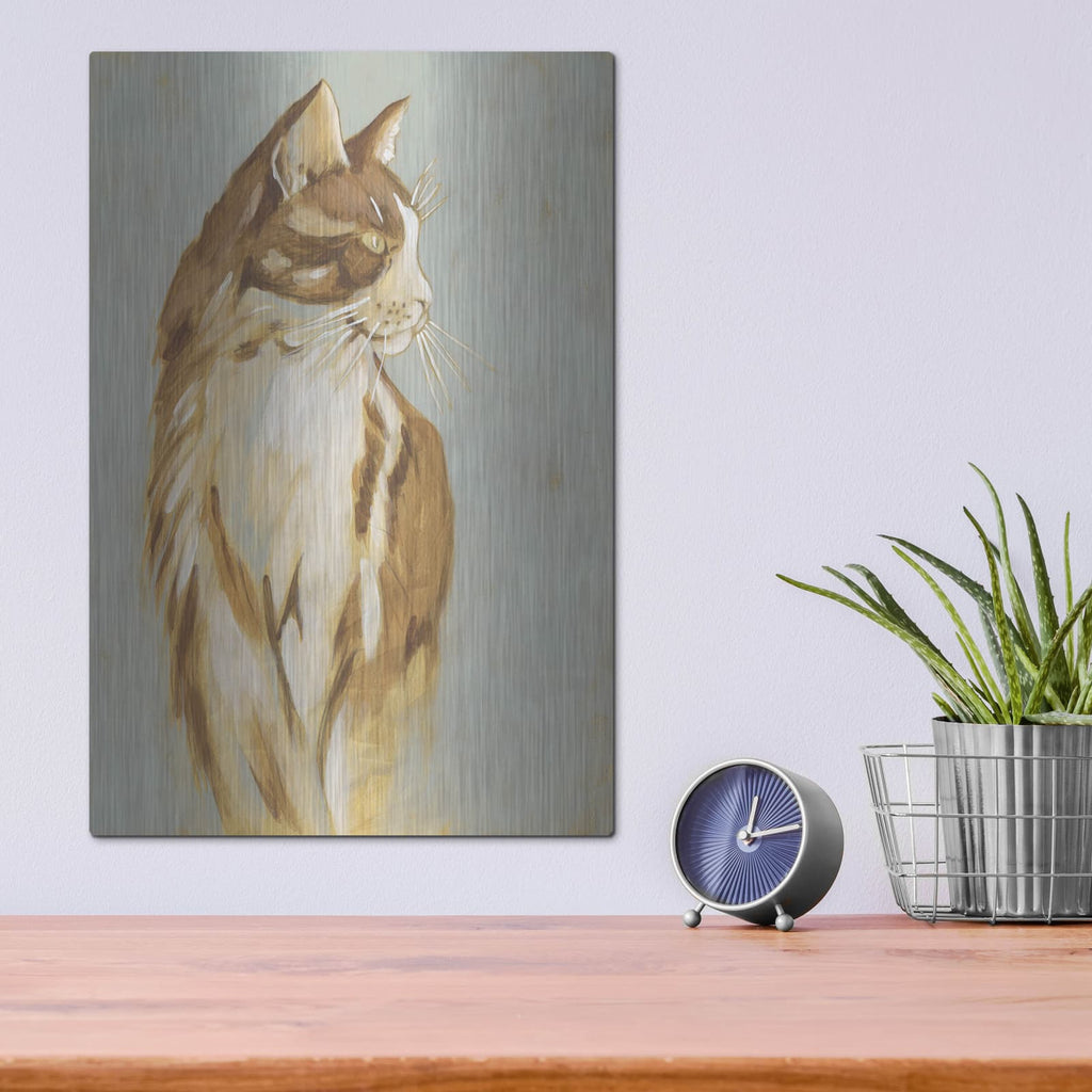'Lap Cat 1' by Chariklia Zarris – Metal Wall Art, 12x16 room view