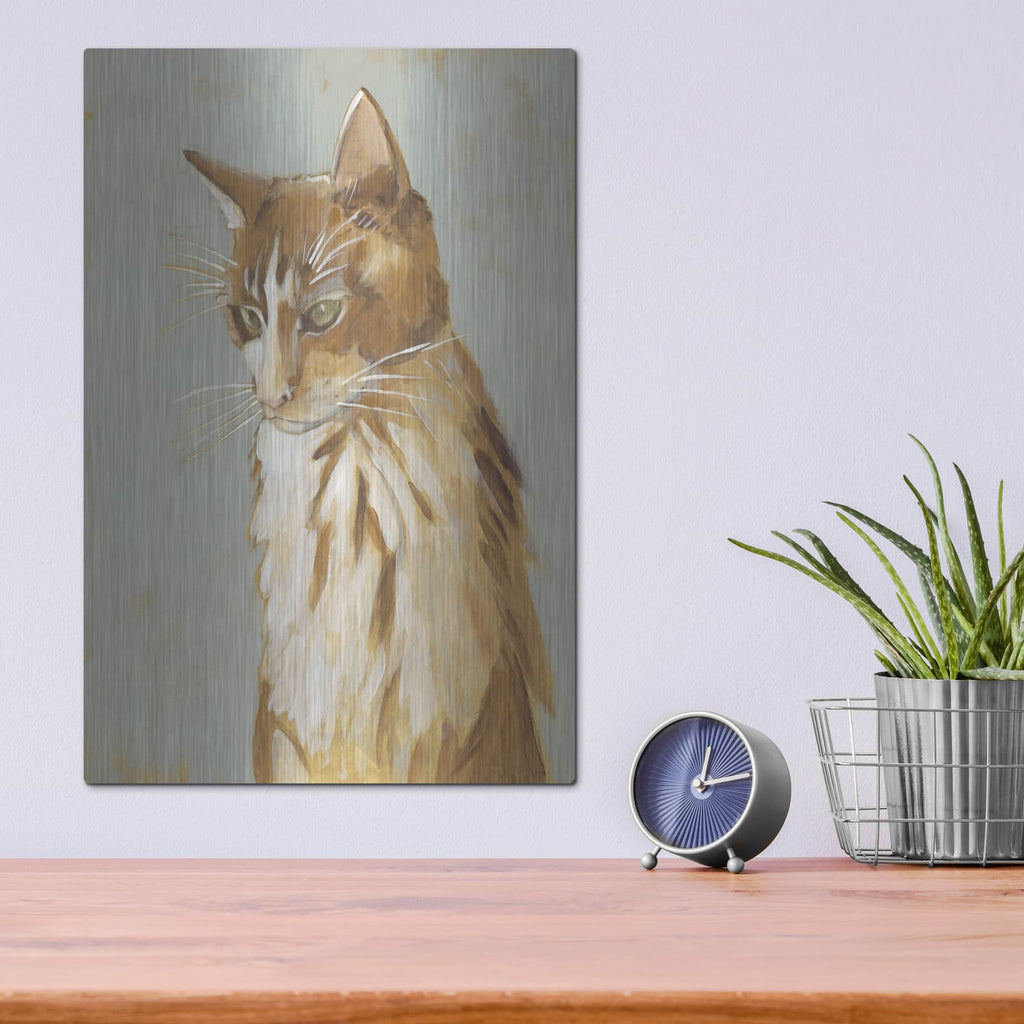 'Lap Cat 2' by Chariklia Zarris – Metal Wall Art, 12x16 room view