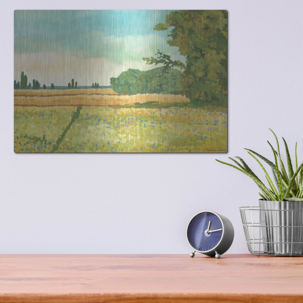 'Mini Western Vista 4' by Chariklia Zarris – Metal Wall Art, 16x12 room view