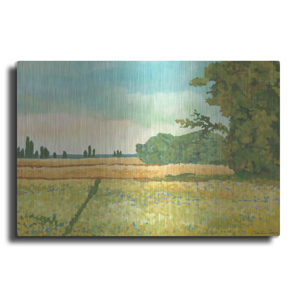 'Mini Western Vista 4' by Chariklia Zarris – Metal Wall Art