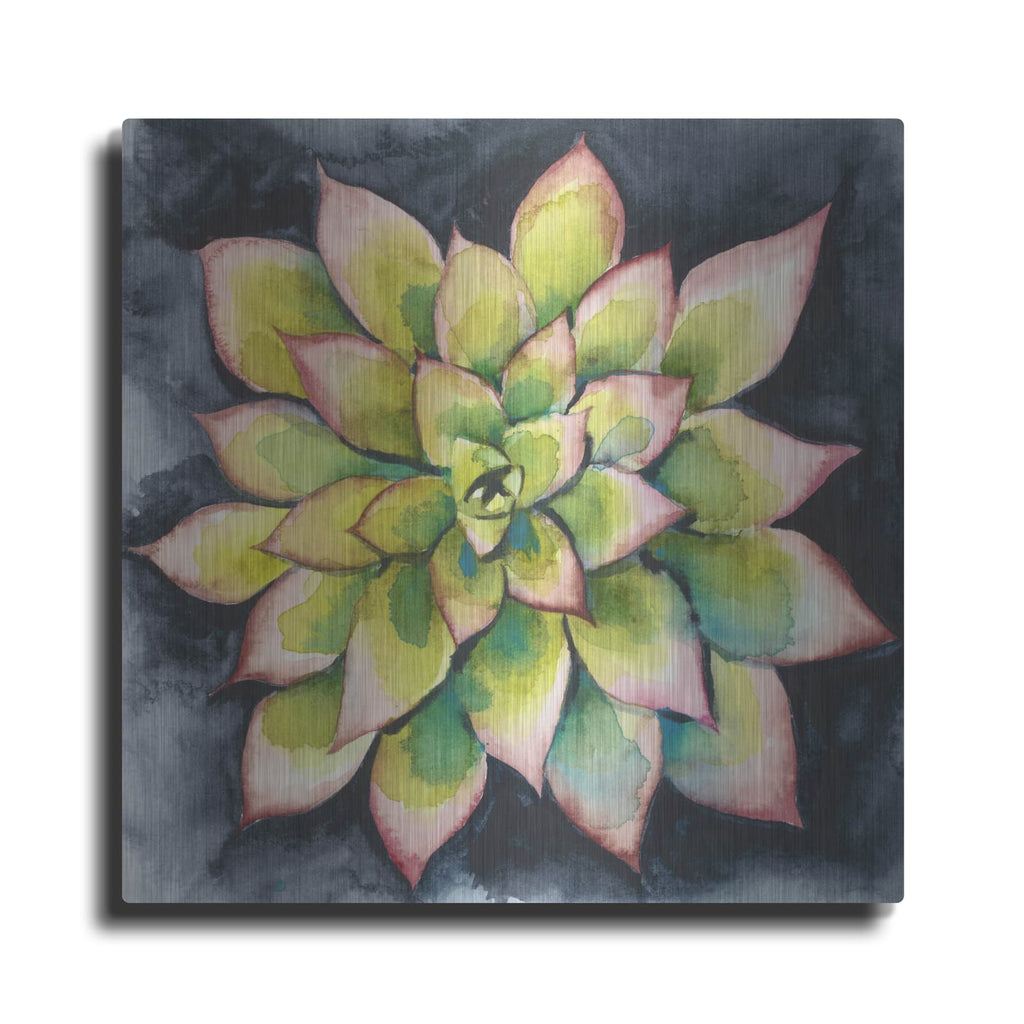 'Succulent Rosette 4' by Chariklia Zarris – Metal Wall Art