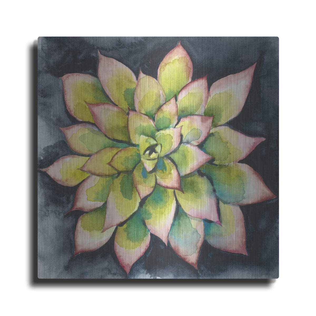 'Succulent Rosette 4' by Chariklia Zarris – Metal Wall Art