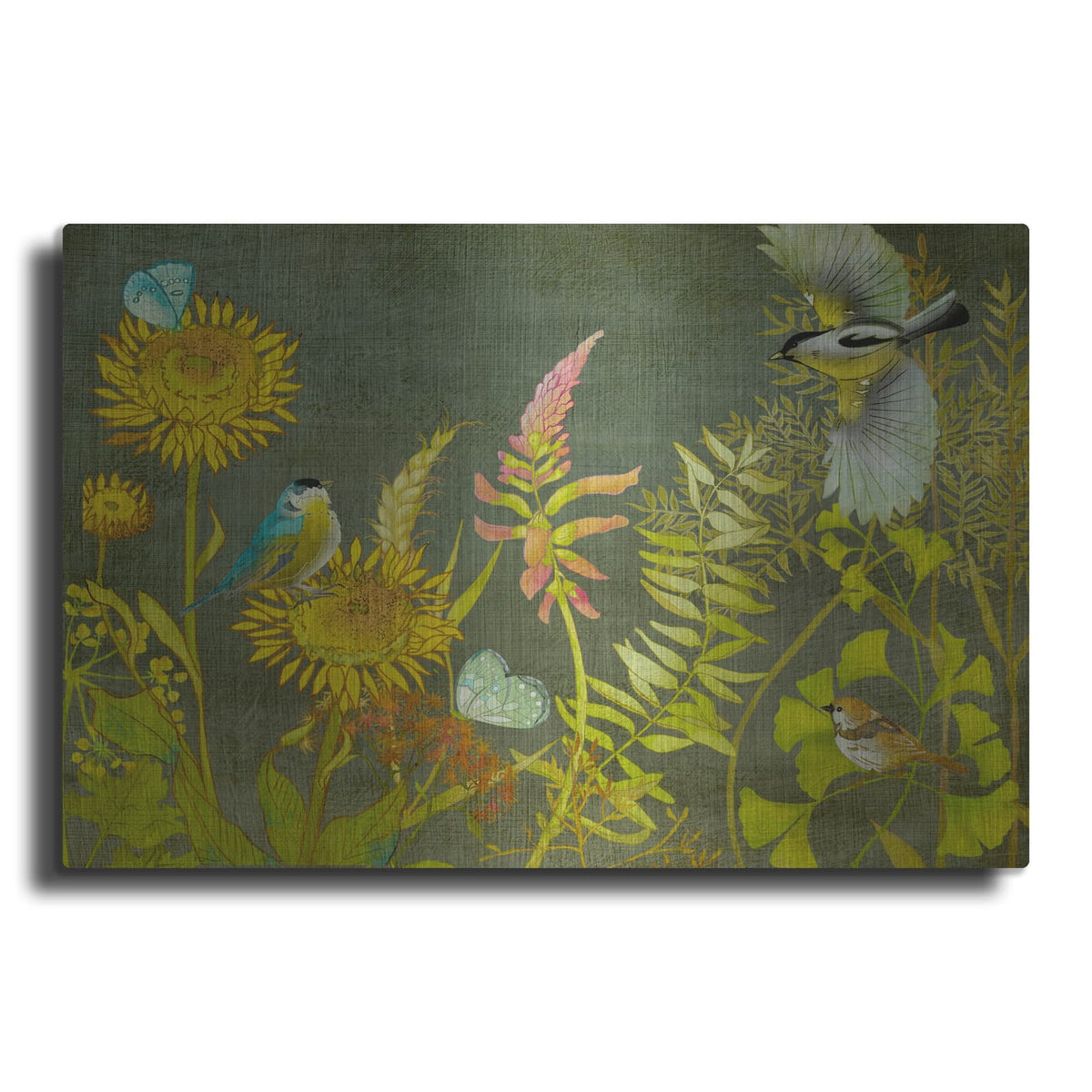'Birding Collection A' by Chariklia Zarris – Metal Wall Art