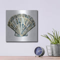 'Aquarelle Shells 4' by Chariklia Zarris – Metal Wall Art, 12x12 room view