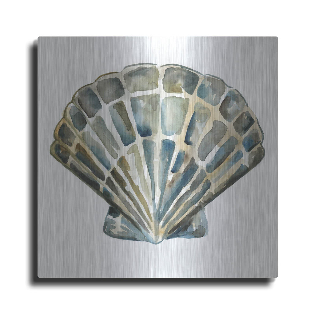 'Aquarelle Shells 4' by Chariklia Zarris – Metal Wall Art