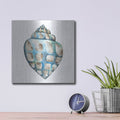 'Aquarelle Shells 5' by Chariklia Zarris – Metal Wall Art, 12x12 room view
