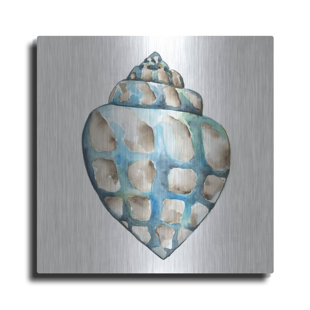'Aquarelle Shells 5' by Chariklia Zarris – Metal Wall Art